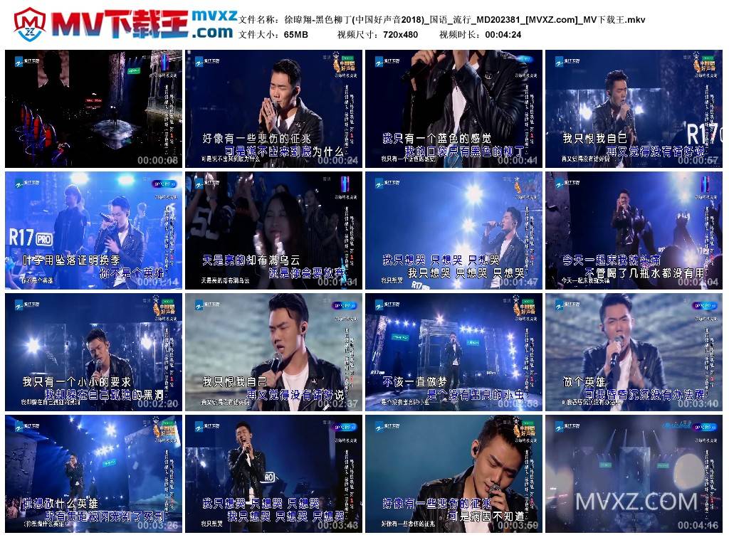 徐暐翔-黑色柳丁(中国好声音2018)_国语_流行_MD202381